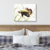 Gouden Betta Vechtvis Canvas Afdruk (Insitu (Slaapkamer))