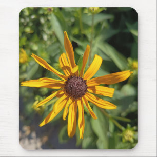 Gouden Black-Eyed Susan Bloemige Muismat Botanie