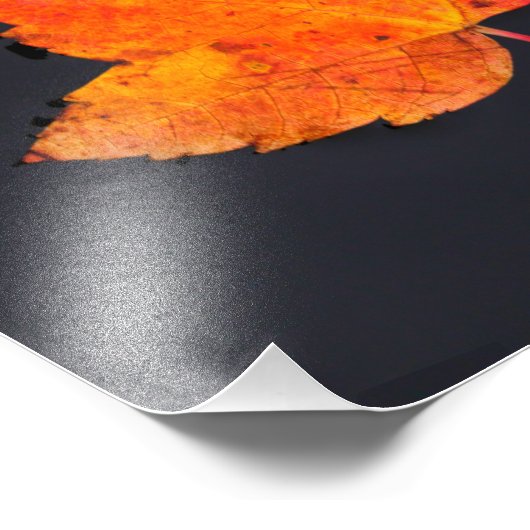 Gouden blad van herfst foto afdruk (Hoek)