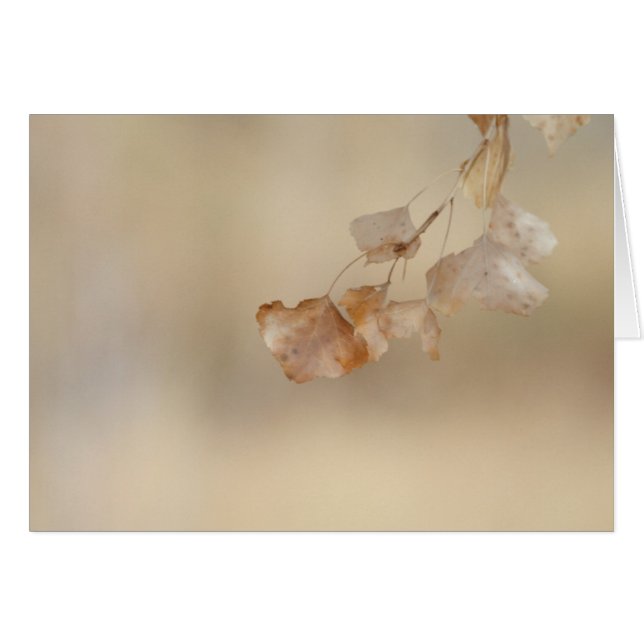 gouden bladeren (Voorkant Horizontaal)