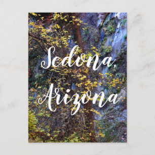 Gouden bladeren in Sedona, Arizona Briefkaart