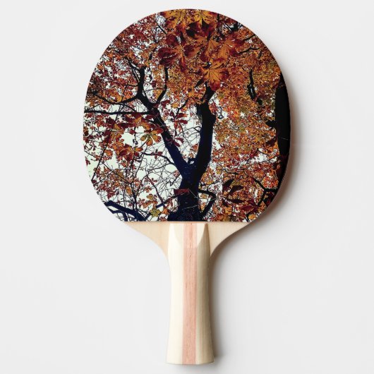 Gouden bladeren tafeltennisbatje (Voorkant)