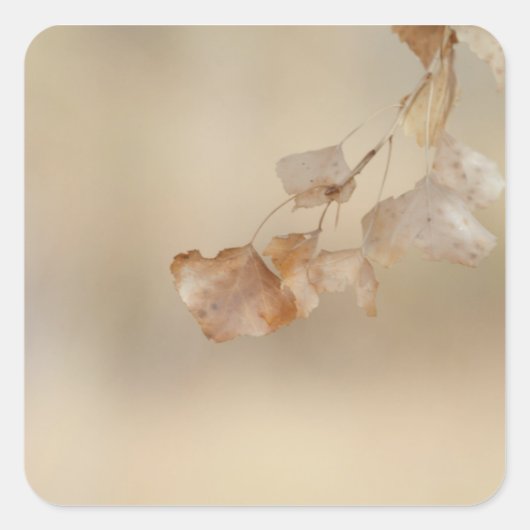 gouden bladeren vierkante sticker (Voorkant)