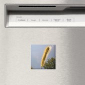 Gouden Bladermagneet Magneet (Insitu (Vaatwasser))