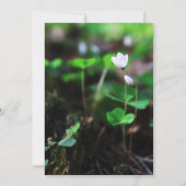 Gouden Bloemen Memorial Service Foto uitnodigingen (Achterkant)