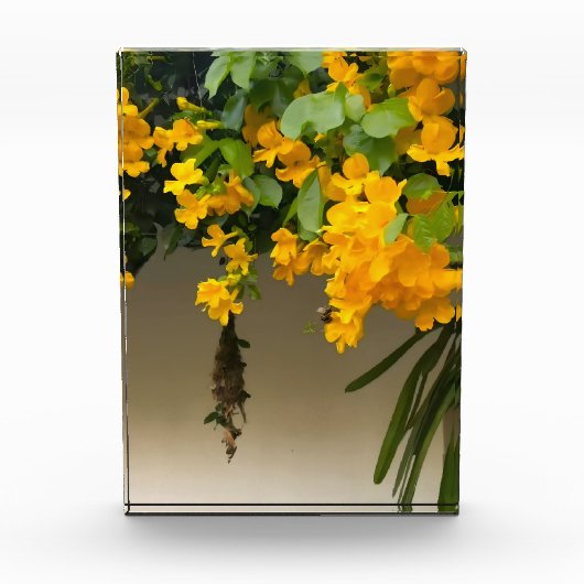 Gouden Bloesem Schoonheid Fotoblokken (Voorkant)