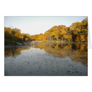 Gouden bomen en Pond.
