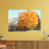 Gouden boom in de herfst canvas afdruk (Insitu (Woonkamer))