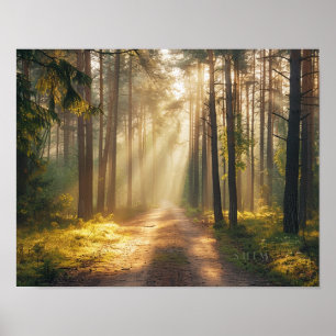 Gouden Bos Ochtendlicht Muur Kunst Poster