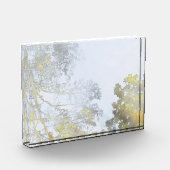 Gouden Breedbladige Gloed Fotoblokken (Links)