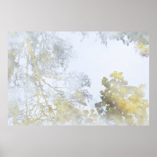 Gouden Breedbladige Gloed Poster (Voorkant)