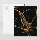 gouden Briefkaart (Voorkant / Achterkant)