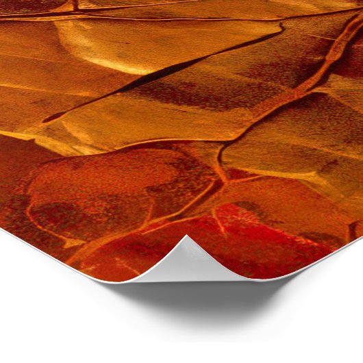 Gouden Bruine Gebarsten Texturen Poster (Hoek)