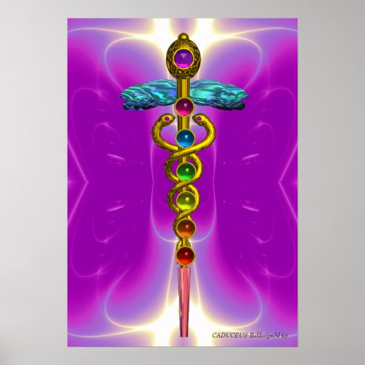 GOUDEN CADUCEUS 7 CHAKRA'S, Yoga, Medisch  Roze Fu Poster (Voorkant)