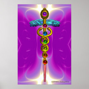GOUDEN CADUCEUS 7 CHAKRA'S, Yoga, Medisch Roze Fu Poster