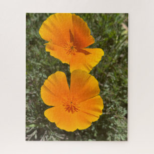 Gouden Californische klaprozen in bloei, Oakland Legpuzzel