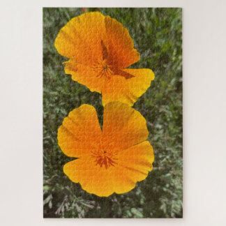 Gouden Californische klaprozen in bloei, Oakland Legpuzzel