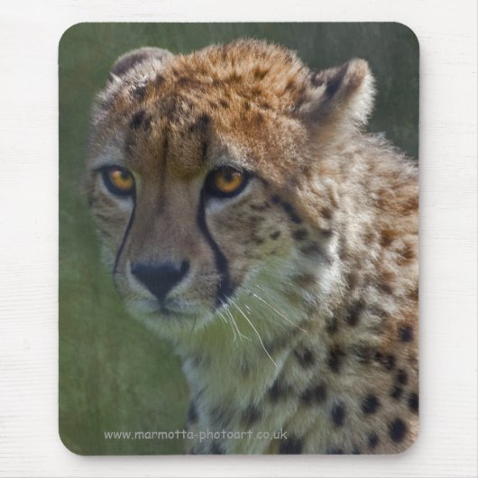Gouden Cheetah Muismat (Voorkant)