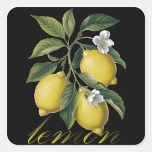 Gouden Citrus Symfonie vintage citroen Vierkante Sticker