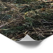 Gouden. Colorado Poster (Hoek)