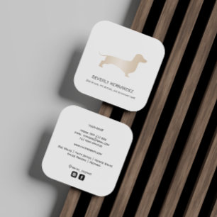 Gouden Dachshund hond Walker Trainer Puppy zitten Vierkante Visitekaartje