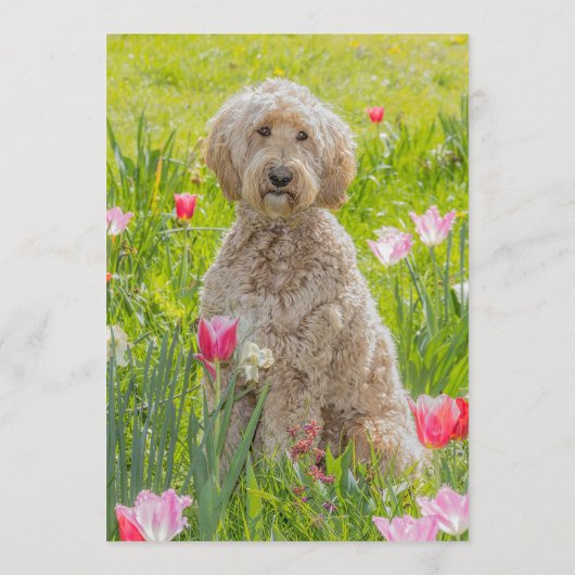 Gouden Doodle Bar Menu (Achterkant)