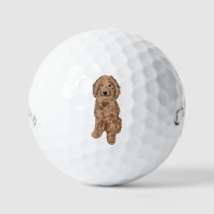 Gouden doodle hond golfballen