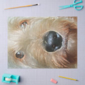 Gouden Doodle met grote zwarte squishy nose Tissue Tissuepapier (Craft)