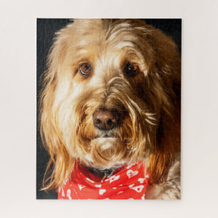 Gouden doodle Puppy Hond Legpuzzel