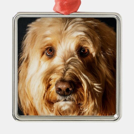 Gouden doodle Puppy Hond Metalen Ornament (Voorkant)