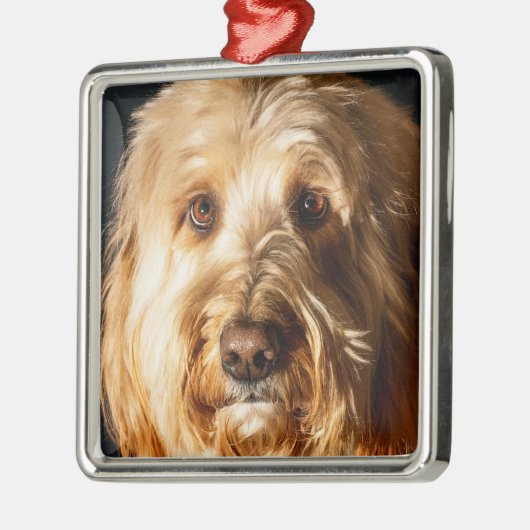 Gouden doodle Puppy Hond Metalen Ornament (Links)