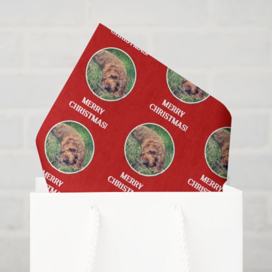 Gouden Doodle Rode Inpakpapier Tissuepapier (Cadeauzakje)