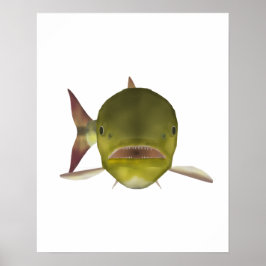 Gouden Dorado Vis Kop Poster