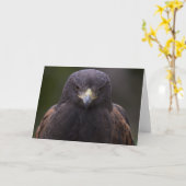 Gouden Eagle Kaart (Gele Bloem)