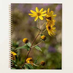 Gouden Eenzaamheid Gele Wilde Bloem Fotografie Planner