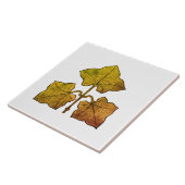 Gouden Eikenblad Tegeltje (Zijkant)