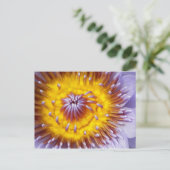 Gouden en Paarse Lelie Bloem Close-up Briefkaart (Staand voorkant)