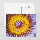 Gouden en Paarse Lelie Bloem Close-up Briefkaart (Voorkant / Achterkant)