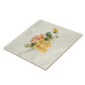  gouden en zalm Rozen op marmer BG Tegeltje (Zijkant)