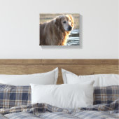 Gouden Engel (Gouden Retriever) Canvas Afdruk (Insitu (Slaapkamer))