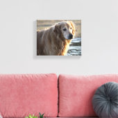 Gouden Engel (Gouden Retriever) Canvas Afdruk (Insitu (Woonkamer))