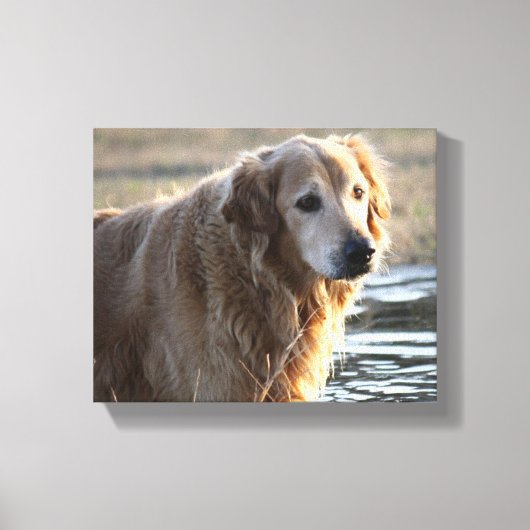 Gouden Engel (Gouden Retriever) Canvas Afdruk (Voorkant)