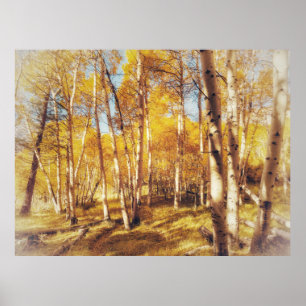 Gouden Espenbos Landschap Poster