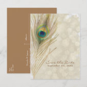 Gouden Exotische Pauwveer Glam Save the Date Aankondigingskaart (Voorkant / Achterkant)