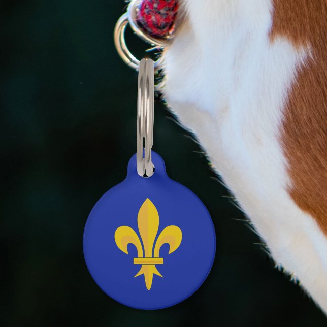 Gouden Fleur de Lis op Royal Blue Huisdierpenning (Gold Fleur de Lis on Royal Blue Pet ID Tag)