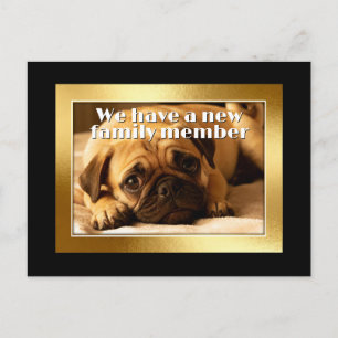 Gouden Frame - Rechthoekige Vorm 6 pug hond Briefkaart