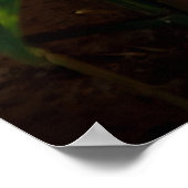 gouden ganesha - poster (Hoek)