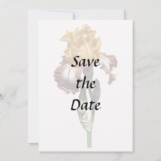 Gouden Geel en Bronzen Iris Save The Date (Achterkant)