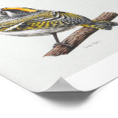 Gouden-gekroonde Kinglet Art Print (Hoek)