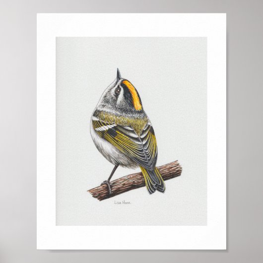 Gouden-gekroonde Kinglet Art Print (Voorkant)